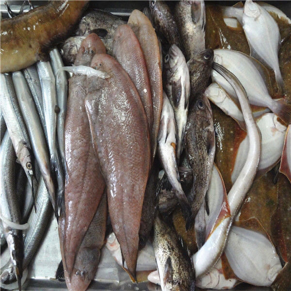 【海杂鱼】新鲜速冻海杂鱼小黄鱼红头鱼鮟鱇鱼鲳鱼等4-6种包邮