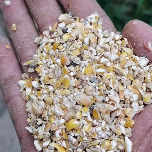夏邑县爆裂玉米  精品干玉米，养殖户专用饲料，精品干碎玉米，碎瓣，无土无沙，