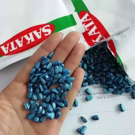 沭阳县 切花向日葵种子日本文森特精选清新阳台盆栽观赏矮杆葵种籽孑
