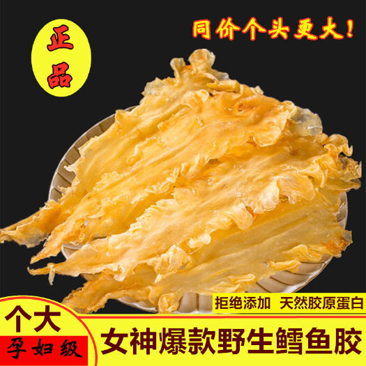 日照花胶大西洋雪鱼胶深海雪鱼胶干品各个规格都有货包邮