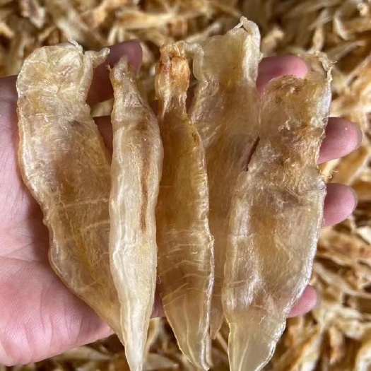 阳西县 70头超靓黄花胶