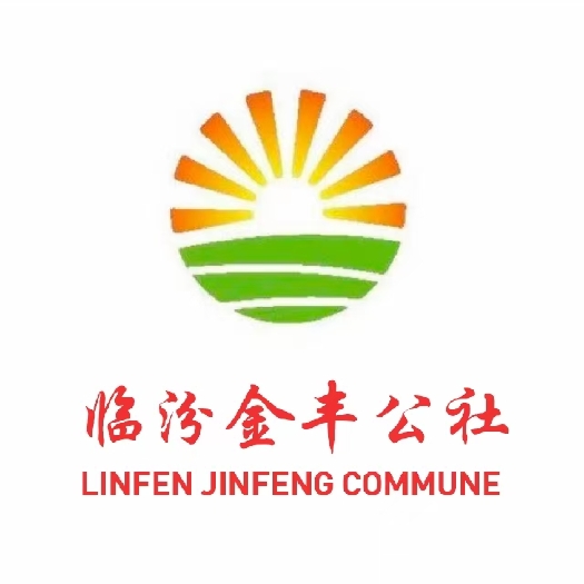 临汾青储草  出售青储玉米