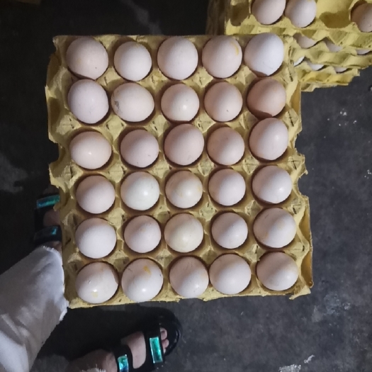 东莞市粉壳蛋 粉蛋，大量货品出售