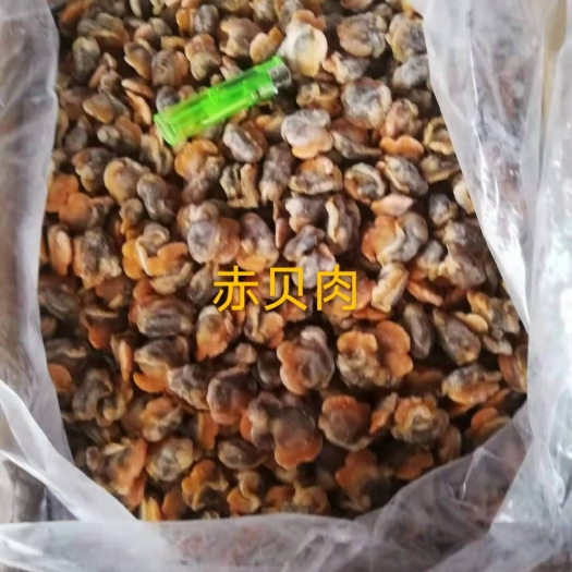 廉江市 赤贝肉