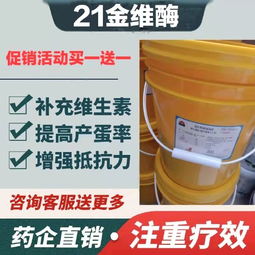 巩义市混合型饲料添加剂 21金维酶