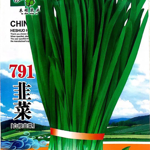 沭阳县家庭蔬菜种植 791韭菜种子