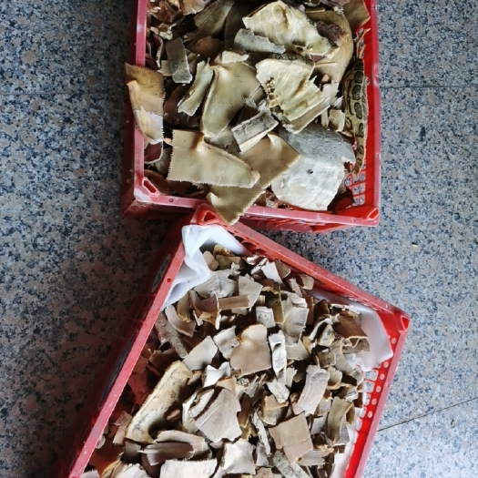 佛山乌鳖  龟壳，煲汤出来的龟壳，花，草，石。杂壳。