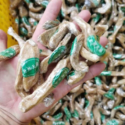 广州 小号天麻