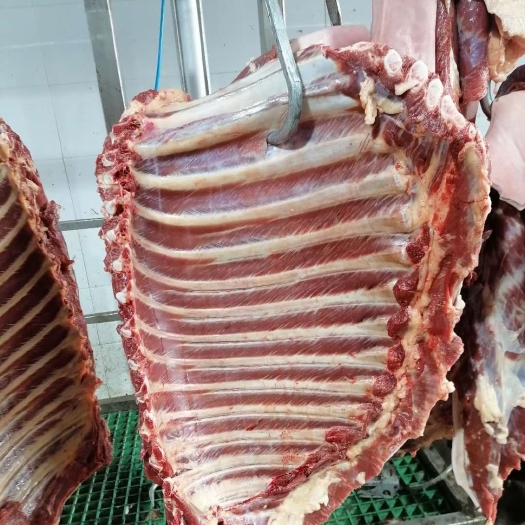 宁津县 带皮鲜马肉，小口马肉，嫩口马肉，供应饭店卤肉火锅店