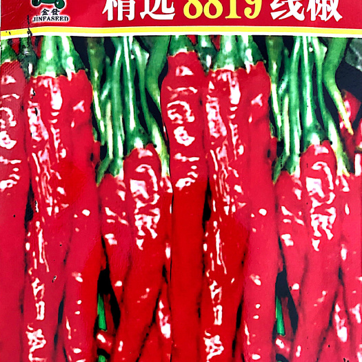 沭阳县家庭种植蔬菜8819线椒种子