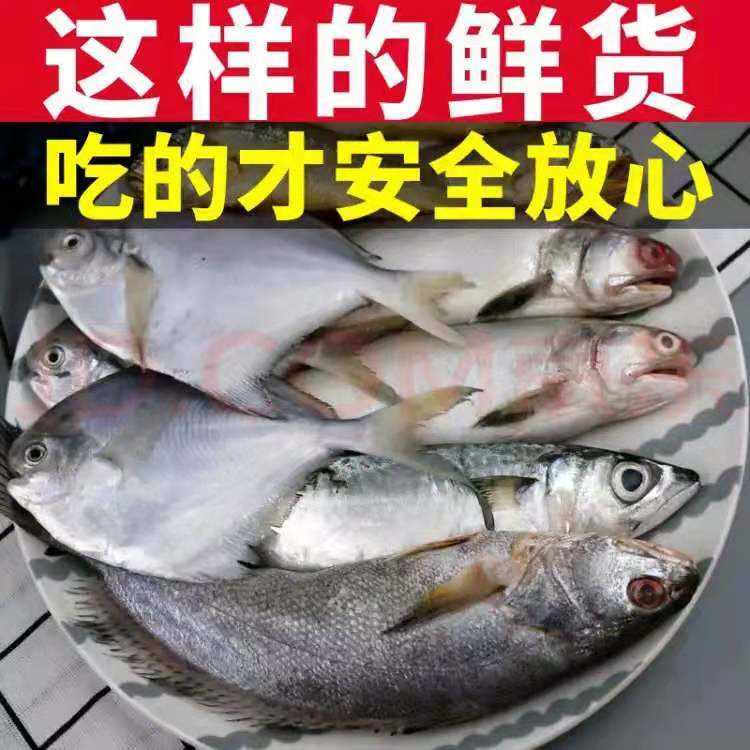 小黄鱼 杂鱼新鲜去头去内脏鱼红娘子鱼大杂烩海杂鱼各种鱼类随