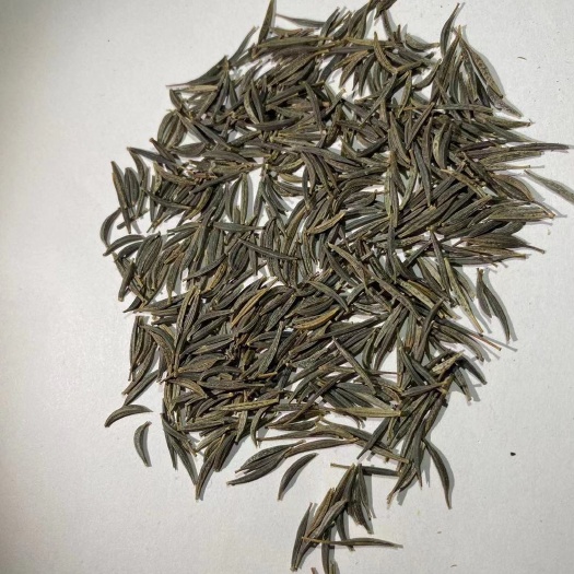 菊花种子  广西南宁波斯菊绿化花种供应商，高速公路，花海常用
