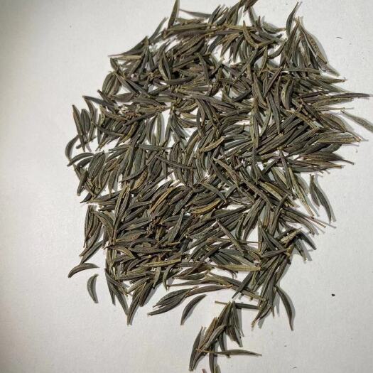 南宁菊花种子  广西南宁波斯菊绿化花种供应商，高速公路，花海常用