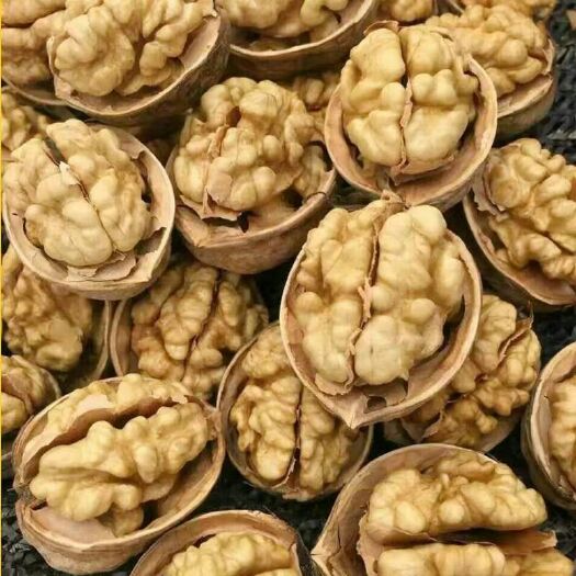 乐陵市核桃薄皮核桃货源供应量大批发