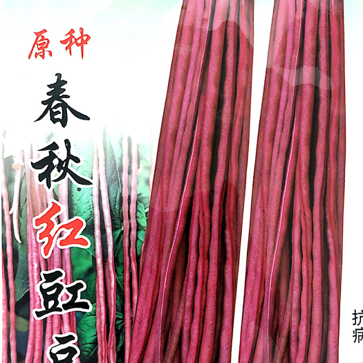 沭阳县豆角种子  家庭种植瓜果蔬菜种子 红豇豆种子