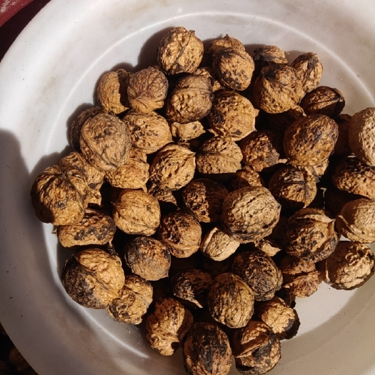 威宁县核桃