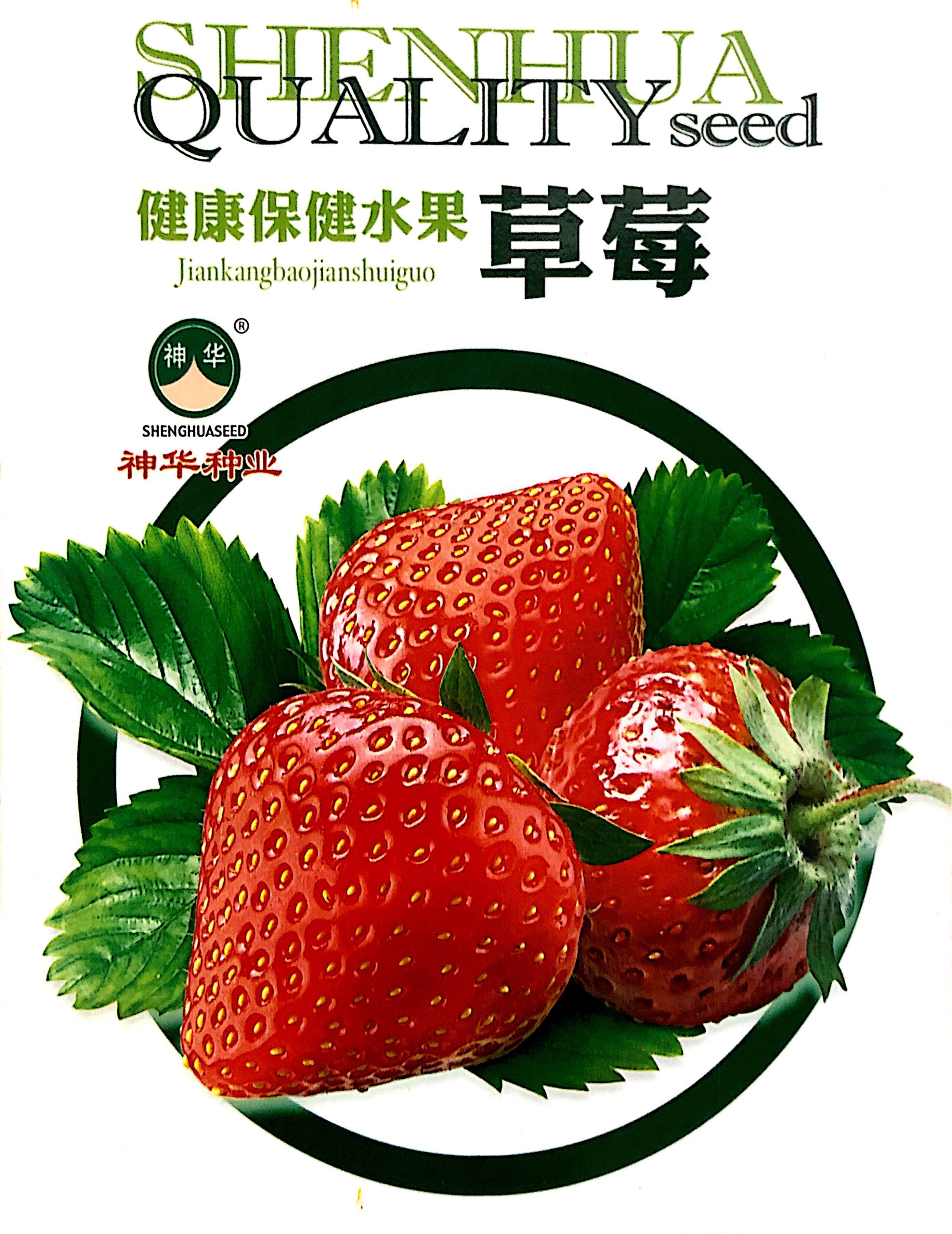 沭阳县家庭种植瓜果蔬菜种子 草莓种子