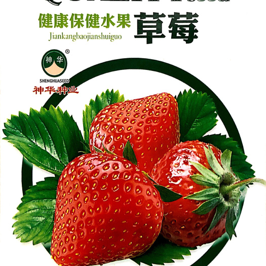 家庭种植瓜果蔬菜种子 草莓种子