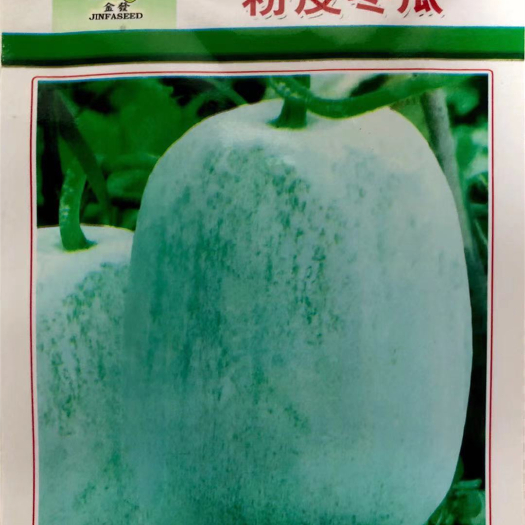 家庭种植瓜果蔬菜种子 粉皮冬瓜种子