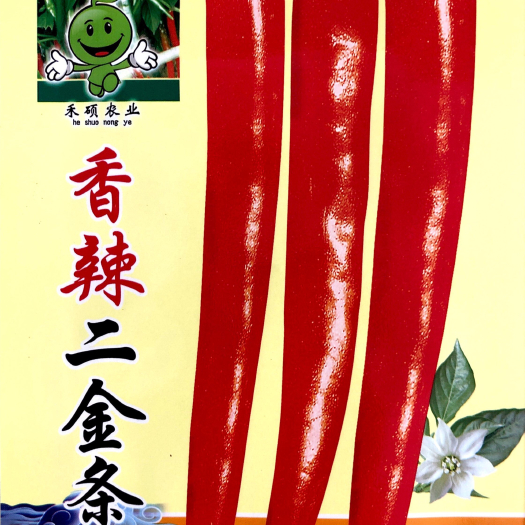 沭阳县家庭种植瓜果蔬菜种子 二金条辣椒种子