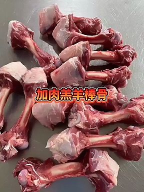 羊骨  本地羔羊纯干加肉款羊棒骨，厂家直销一手货源