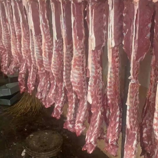 河间市羊蝎子  本地羔羊加肉款羊脊骨，一手货源，每天出新货