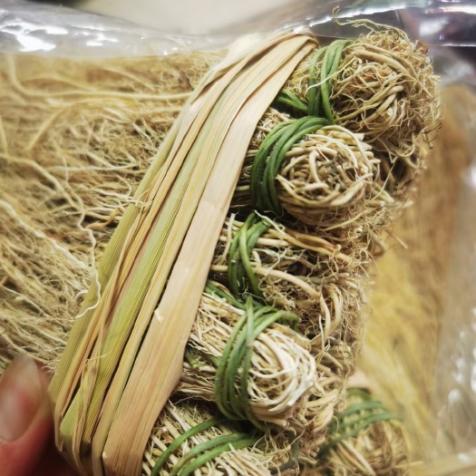 养肝草新货，种植大户追求品质漂亮一手货源一年四季现挖现卖