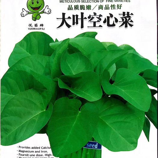 家庭种植瓜果蔬菜种子 大叶空心菜种子