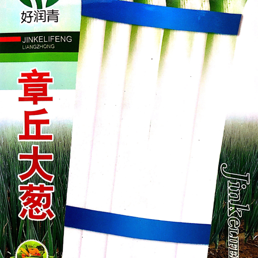 沭阳县家庭种植瓜果蔬菜种子 大葱种子