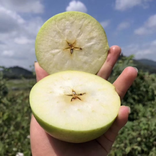 昆明青苹果【包邮到家】爆款青苹果上架啦～ 青涩脆甜～活动进行中