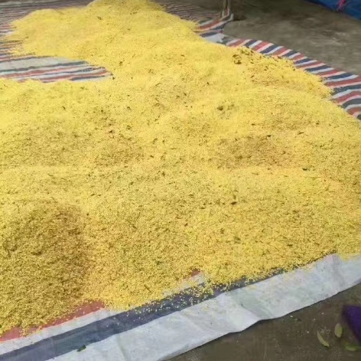 咸宁桂花瓣  大量出售鲜花