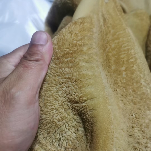 郑州五香熟牛肚，纯干，质量好实拍图片