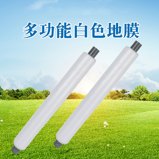 沭阳县厂家直销 农资白色地膜保温保湿育苗果蔬薄膜