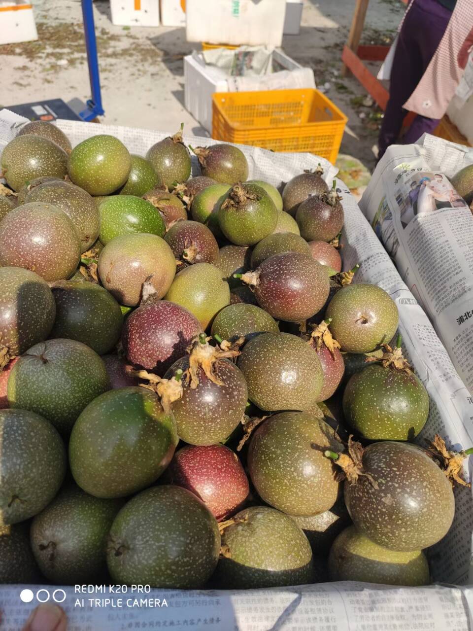 台农一号百香果  新鲜酸酸甜甜百香果紫香台农满天星批发果园基地直供