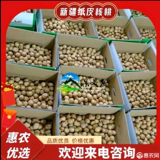 株洲新疆阿克苏185纸皮核桃
