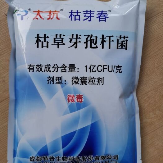 临沂 太抗枯芽春枯草芽孢杆菌番茄立枯病柑橘树溃疡病500g新型生物