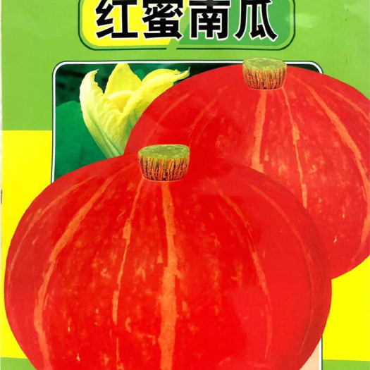 沭阳县 家庭种植瓜果蔬菜种子 红蜜南瓜种子
