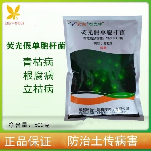 临沂微生物菌剂 荧光假单胞杆菌 太抗荧光假单孢杆菌番茄青枯病杀菌剂