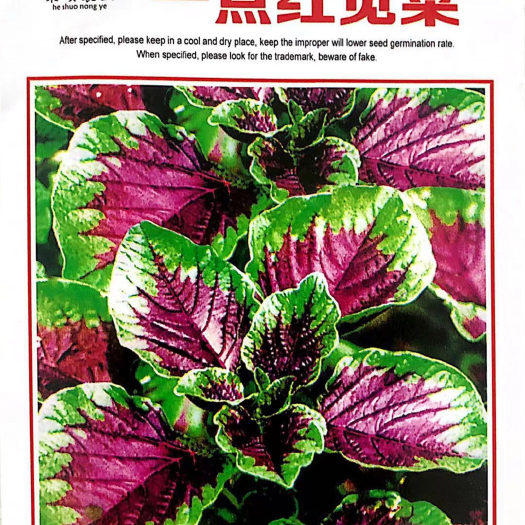 沭阳县 家庭种植瓜果蔬菜种子 一点红苋菜种子