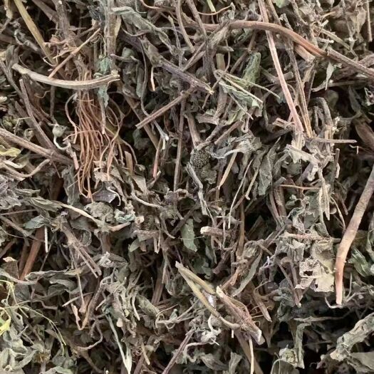 大货供应｛墨旱莲旱莲草｝可批量可零售量大从优【包邮】
