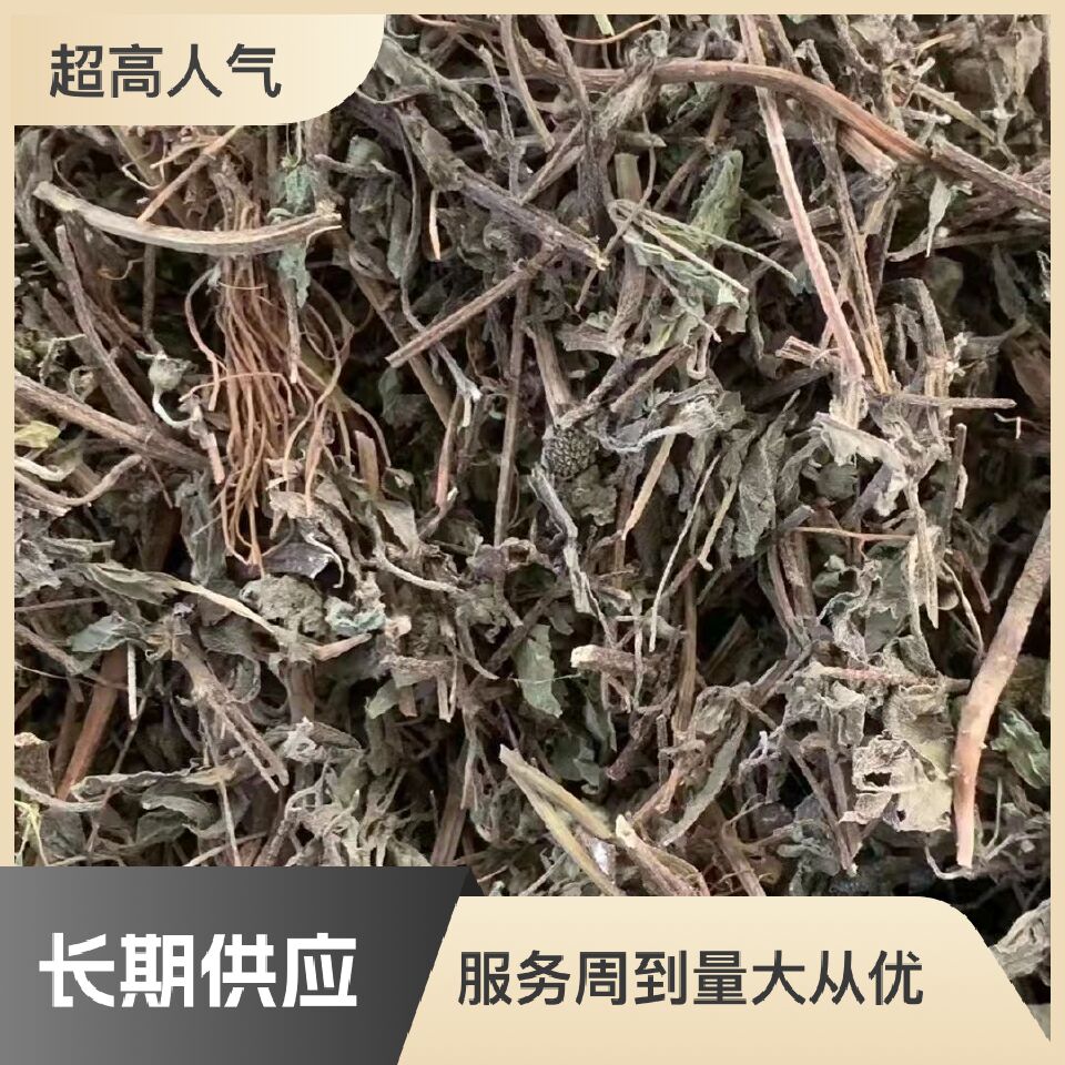 长期供应{墨旱莲草}可批量可零售量大从优【包邮】