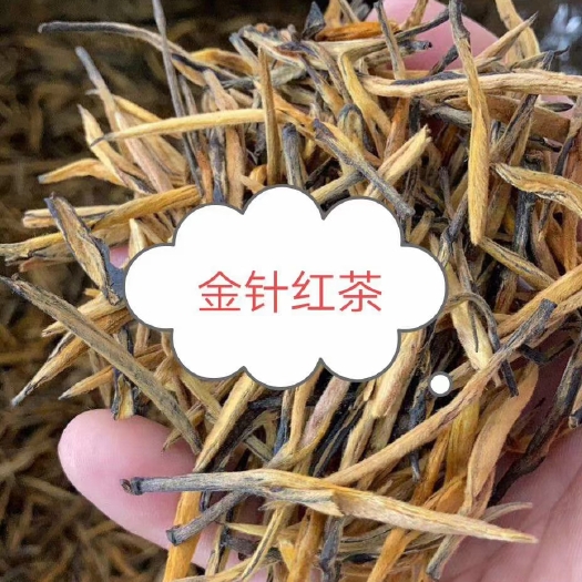 绿春县滇红金针 量大从优、红茶。