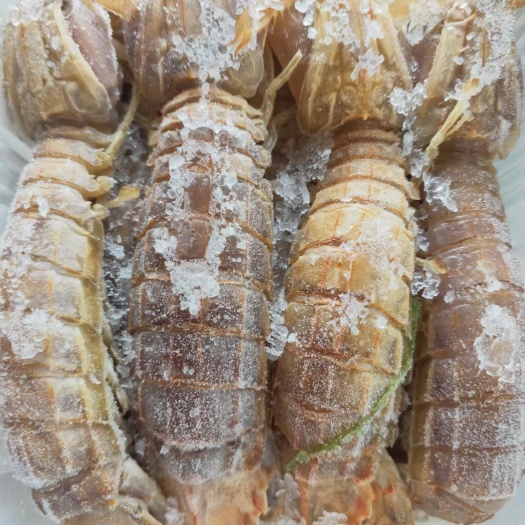 连云港盒装冷冻速冻熟大公皮皮虾，一盒500克一斤
