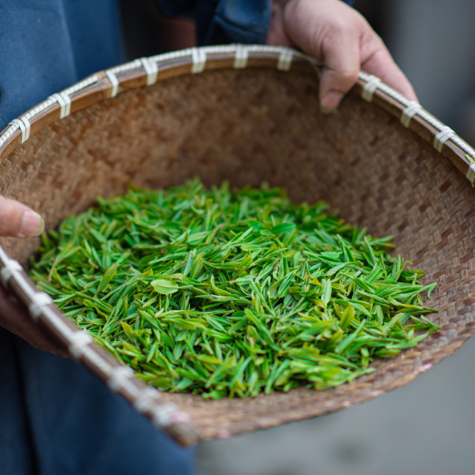 英德市英德红茶 一级散装茶叶