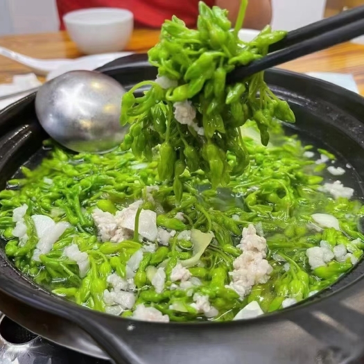 整箱夜兰花食用香花菜素食夜兰香火锅炖汤凉拌白灼小炒特色半成品