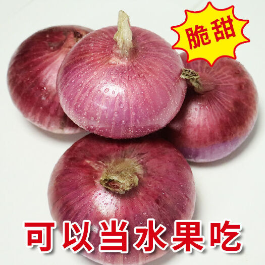 济宁洋葱  【脆甜】10斤紫皮批发新鲜紫红皮头生吃脆甜辣圆葱