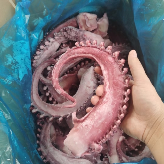 连云港章鱼足新鲜速冻 章鱼脚 鱿鱼须 鱿鱼大个章鱼须章鱼足无冰衣