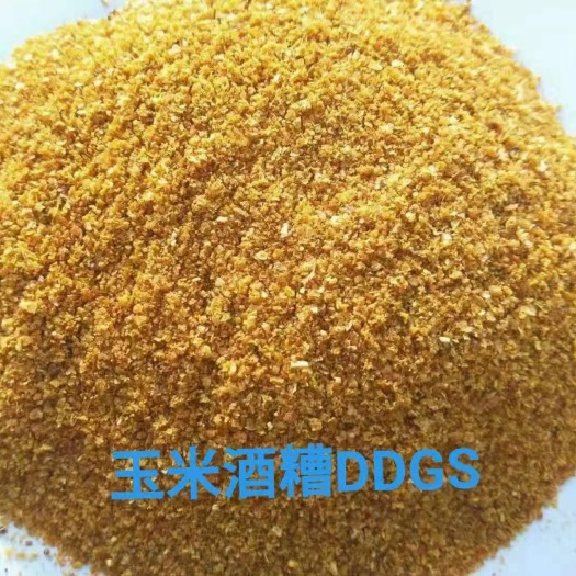 石家庄膨化玉米  玉米酒糟DDGS