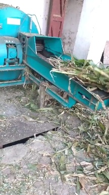 专业玉米杆青储料十年，方包压包保存时间长，冬季必囤