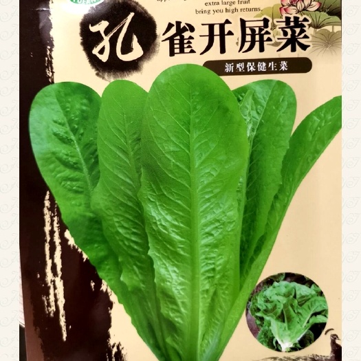 余干县孔雀菜种子，孔雀生菜种子，普通生菜长速快比易于收获,容易捆扎